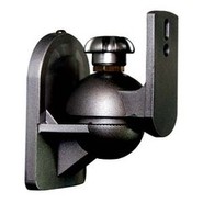 Speaker Mount