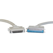 SCSI II Cable