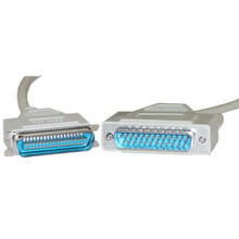 SCSI Cable