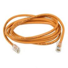 patch cable - 1 ft - orange