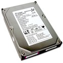 40GB IDE ATA100 7200RPM 3.5in x 1in 40p 100MB/s H