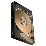 20GB IDE ATA133 5400RPM 3.5in x 1in 40p 133MB/s H