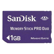 1GB Memory Stick Pro Duo 66x to 100x, BPN