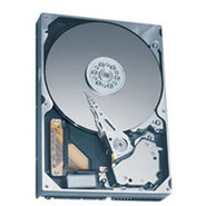 60GB IDE ATA133 7200RPM 3.5in x 1in 40p 133MB/s H