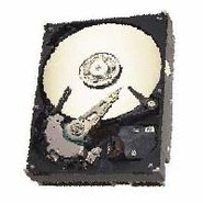 40GB IDE ATA100 7200RPM 3.5in x 1in 40p 100MB/s H