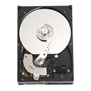 640GB SATAII 7200RPM 3.5in x 1in 15p 3.0Gb/s HDD,