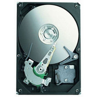 30GB IDE ATA100 5400RPM 3.5in x 1in 40p 100MB/s H