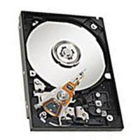 4.3GB IDE ATA66 5400RPM 3.5in x 1in 40p 66MB/s HD