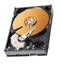 20GB IDE ATA100 7200RPM 3.5in x 1in 40p 100MB/s H