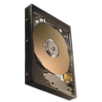 40GB IDE ATA133 5400RPM 3.5in x 1in 40p 133MB/s H