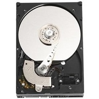 300GB SATAII 7200RPM 3.5in x 1in 15p 3.0Gb/s HDD,