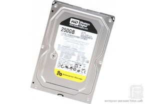 250GB SATAII 7200RPM 3.5in x 1in 15p 3.0Gb/s 64MB