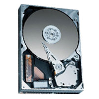 300GB IDE ATA133 5400RPM 3.5in x 1in 40p 133MB/s 