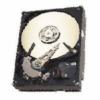 40GB IDE ATA100 7200RPM 3.5in x 1in 40p 100MB/s H