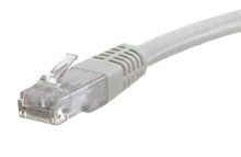 3 ft Cat7 10G Network