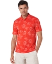Shirt, Short Sleeve Palm Print Knit Polo Shirt