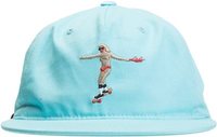 Altamont Skatebirding Hat