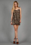 New Mexico Dress in Cheetah