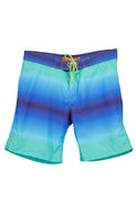 Surf Style Ombre Print Surf Style Swim Short in Tw