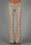 Ashley Lace Pant in Taupe