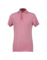 Polo shirts - Item 37444105