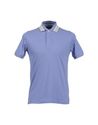 Polo shirts - Item 37444932