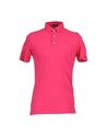 Polo shirts - Item 37433907