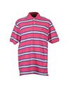 Polo shirts - Item 37433478