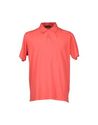 Polo shirts - Item 37431746