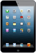 32GB Black Wi-Fi iPad Mini - MD529LL/A