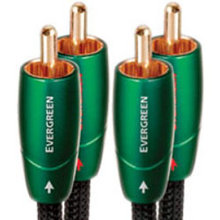 AudioQuest Evergreen Series 0.6 Meter (2 Feet) Ana