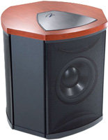 Martin Logan Descent i Cherry Subwoofer - Descent 
