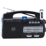 SC1081 4 Band AM/FM/SW1/SW2 Radio