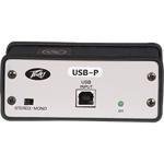 USB-P USB Playback - USB DI/Format Converter - 030
