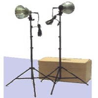 RS-4002  1000 Watt 2 Light Kit