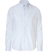 White Shirt with Light Blue Stripes