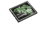 Kingston 8GB Elite Pro 133x CompactFlash Card CF/8