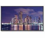 55  P5550D-U2 LCD Full HD Monitor, Black