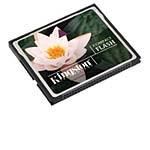 Kingston 4GB CompactFlash Memory Card CF/4GB