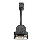 HP DisplayPort to DVI-D Adapter FH973AA