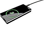 Laptop Wall Charger with Green Technology, (8) Lap