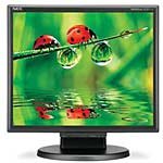 NEC 17  LCD175M-BK Analog/Digital