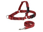 Reflective Easy Walk Harness Red With Leash