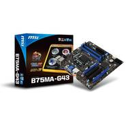 MSI B75MA-G43